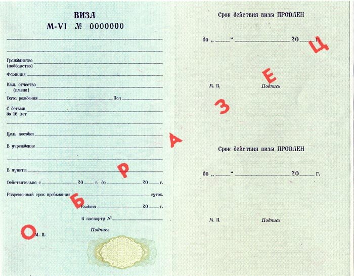 Образец вкладного визового талона Серия M-VI